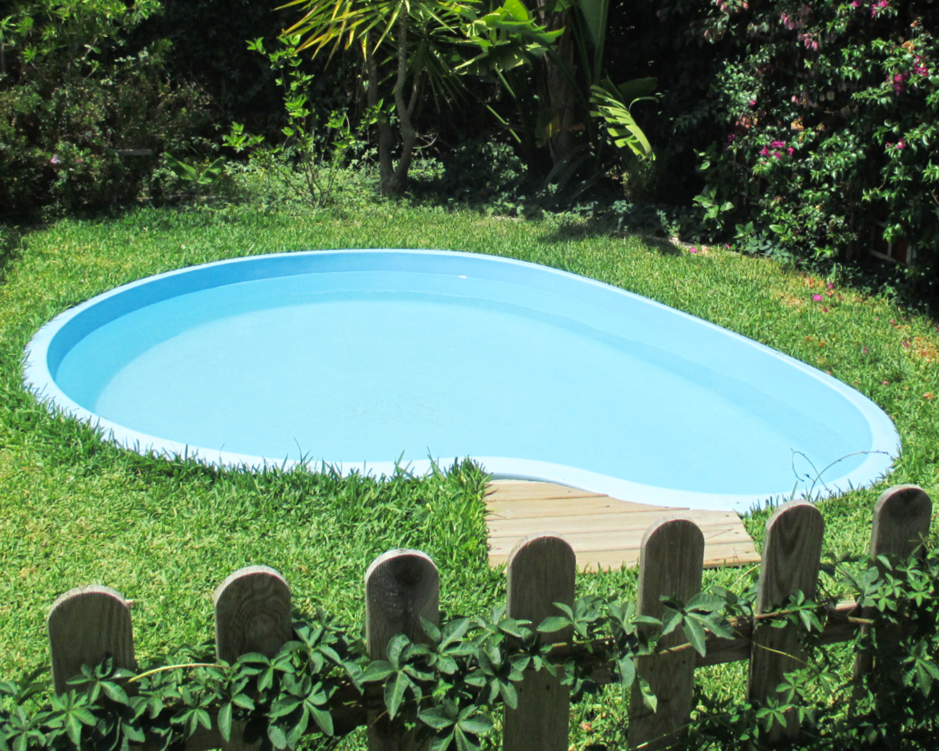 Piscina Modelo Riñón